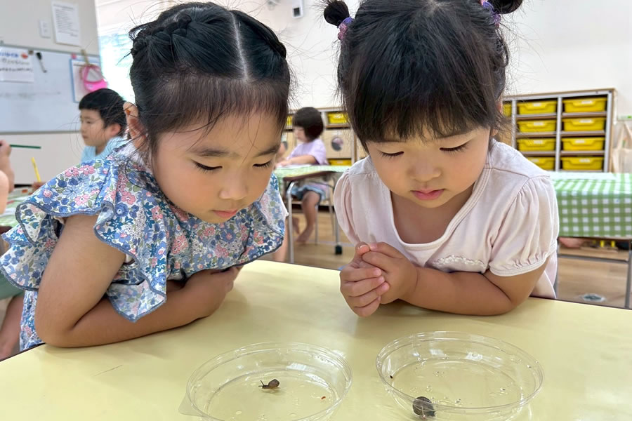 あすと長町こぶたの城こども園 園のようす写真１３